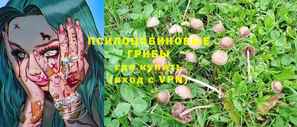MESCALINE Алзамай