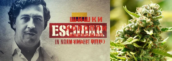 MDMA Premium VHQ Алексеевка