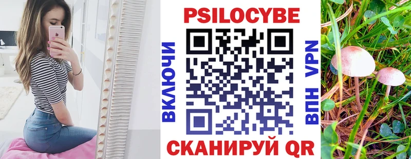 Галлюциногенные грибы Psilocybe  где продают   нарко площадка телеграм  Алзамай 