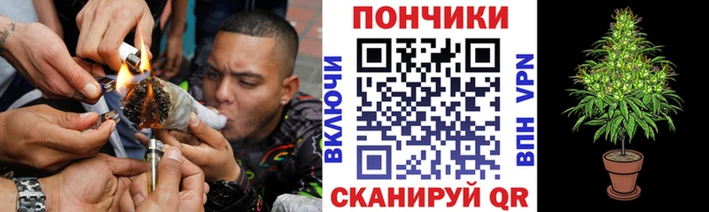 Бошки марихуана ГИДРОПОН  Алзамай 